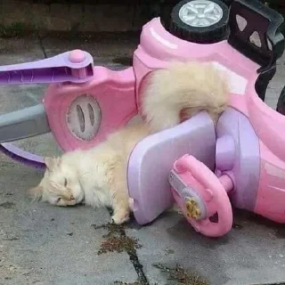 💒