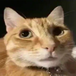 😣