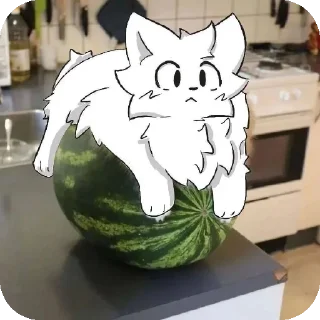 🐱