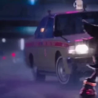 🌟