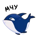 🦈