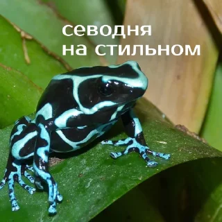 😎
