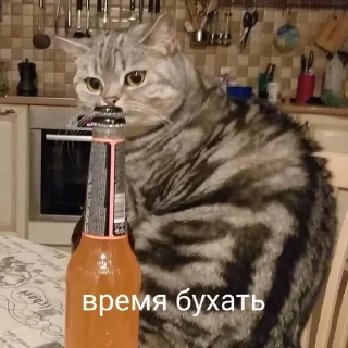🍻