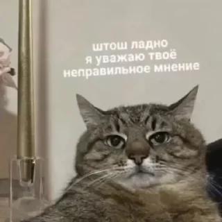 😄