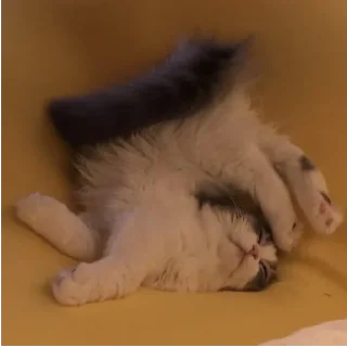 🥴