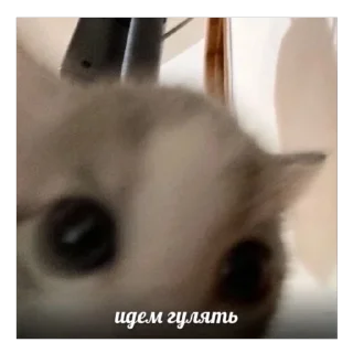 👀