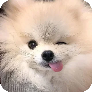 👍