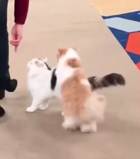 ❤️