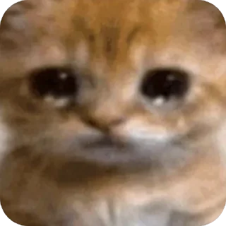 🫥