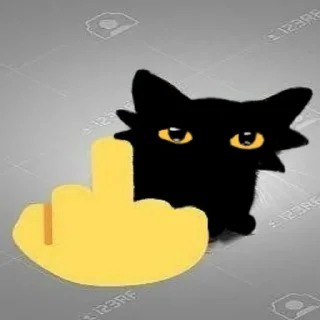 🖕