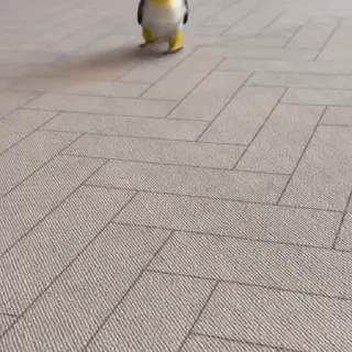 🤩