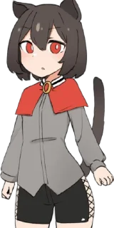 🐱