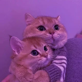 🥰
