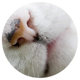 😘