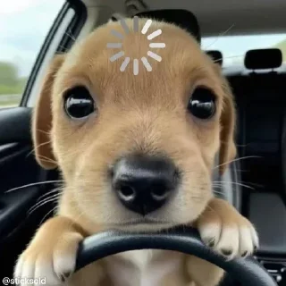 🙄
