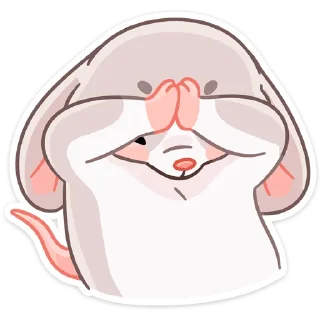 🙈