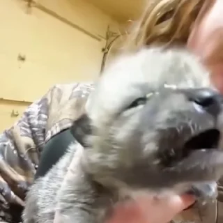 🤩