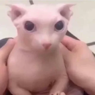 🤐
