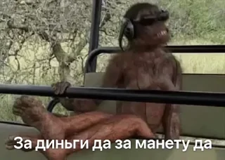 🎧