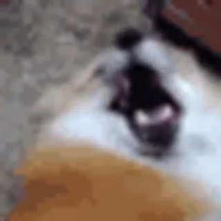 😁