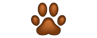 🐾