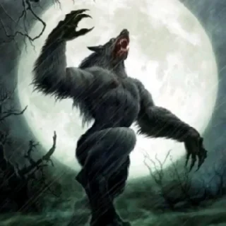 🐺