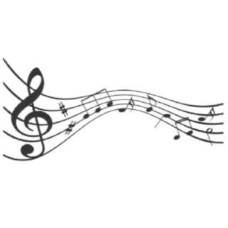 🎵