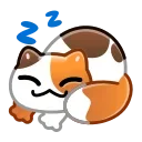 😴