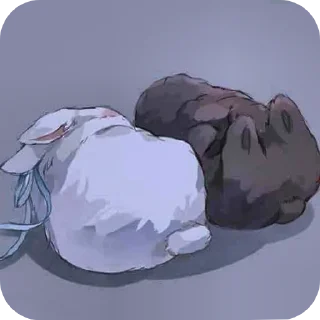 😴