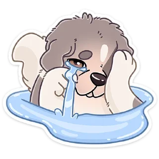 🐶