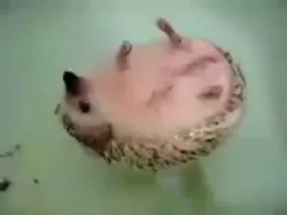 ☺