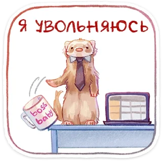 ⭐