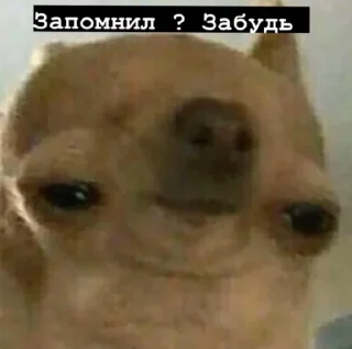 😉