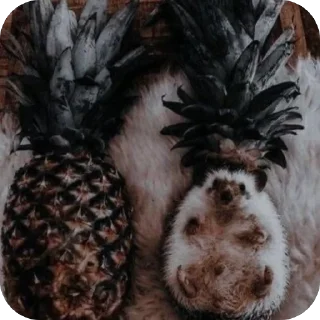 🍍