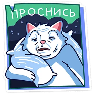😴