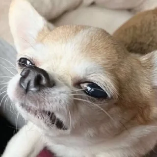 🤓