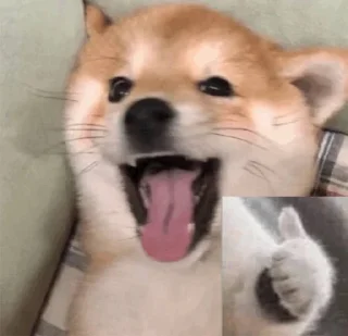 👍