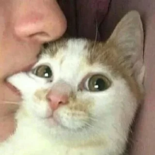 😘