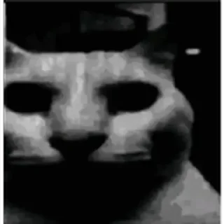 😶