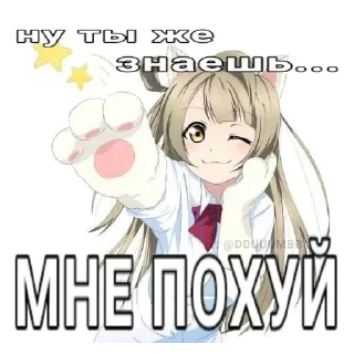 🐈