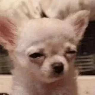😐