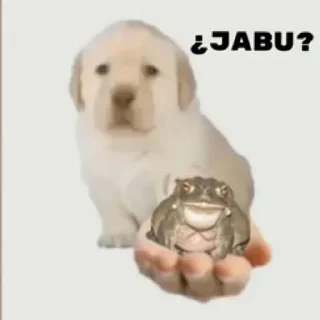 🐕