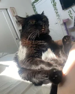 😠