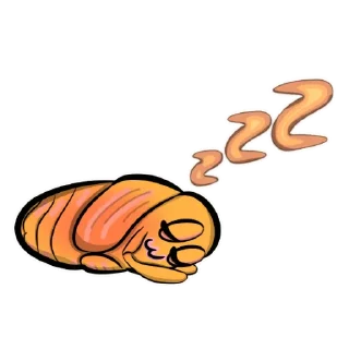 😴