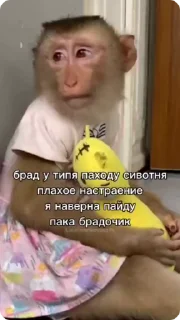👋