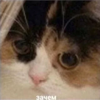 🤨