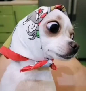 😜