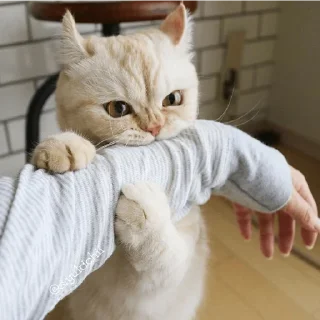 😠