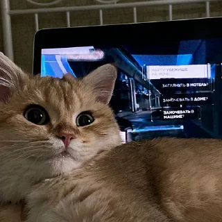 🫠