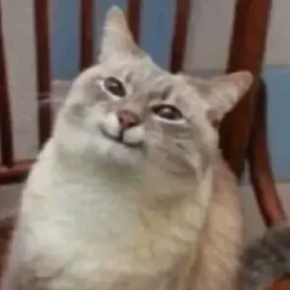 😏